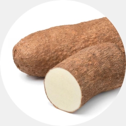 Yam